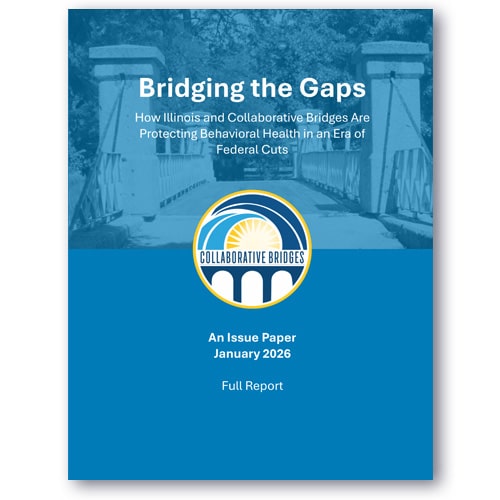 Bridging the Gaps Issue Paper - 2026 - Full Report