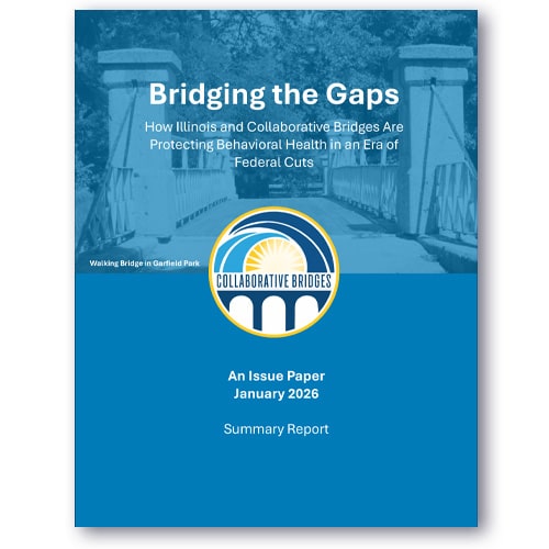 Bridging the Gaps Issue Paper - 2026 - Summary Report